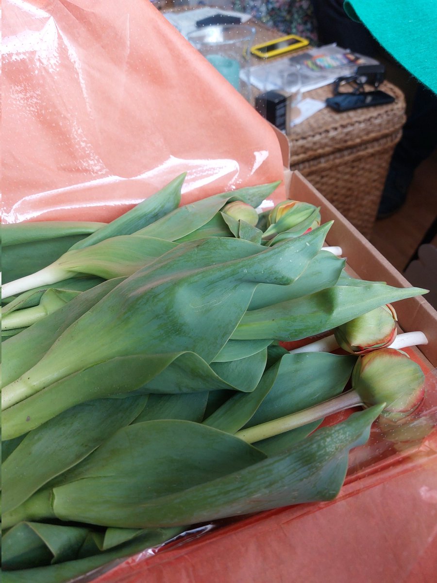 charissa188's tweet image. Wat lief bloemen voor m'n #propedeuse uitreiking 🥰😋