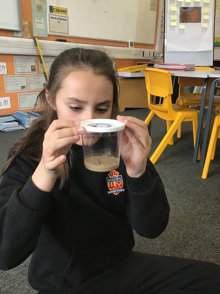NCEA_Bishops's tweet photo. Exciting times ahead! We have some new visitors to Year 4.The children are looking forward to watching the caterpillars grow and change over the half term. @NCEA_Trust @NCEAScience https://t.co/zFKDCuqxTK