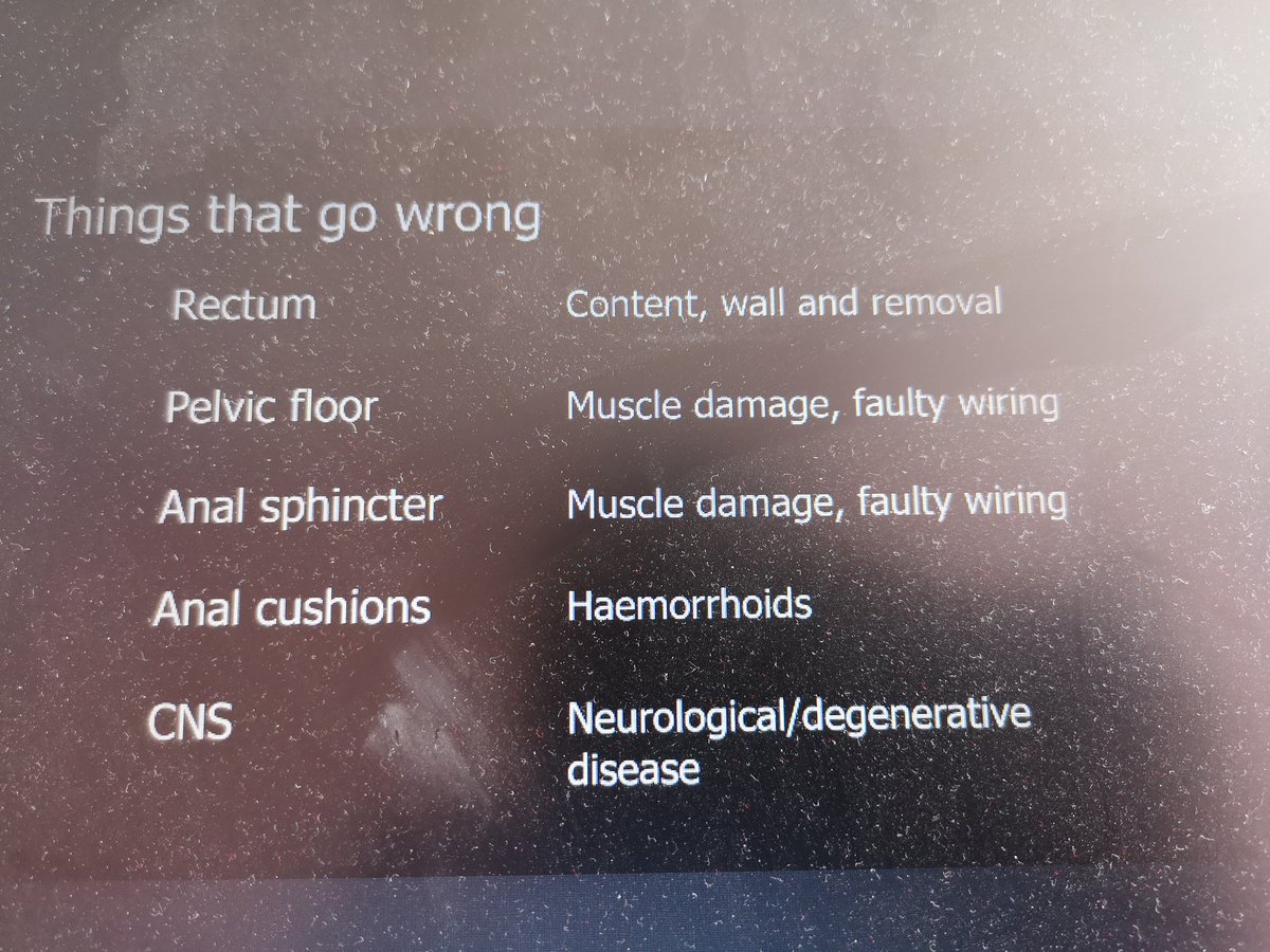 Shaila Kumar 💙 tweet media