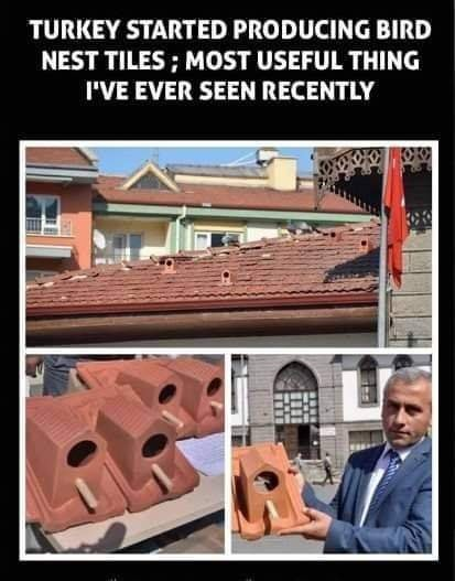 JSDBENNETT's tweet image. 