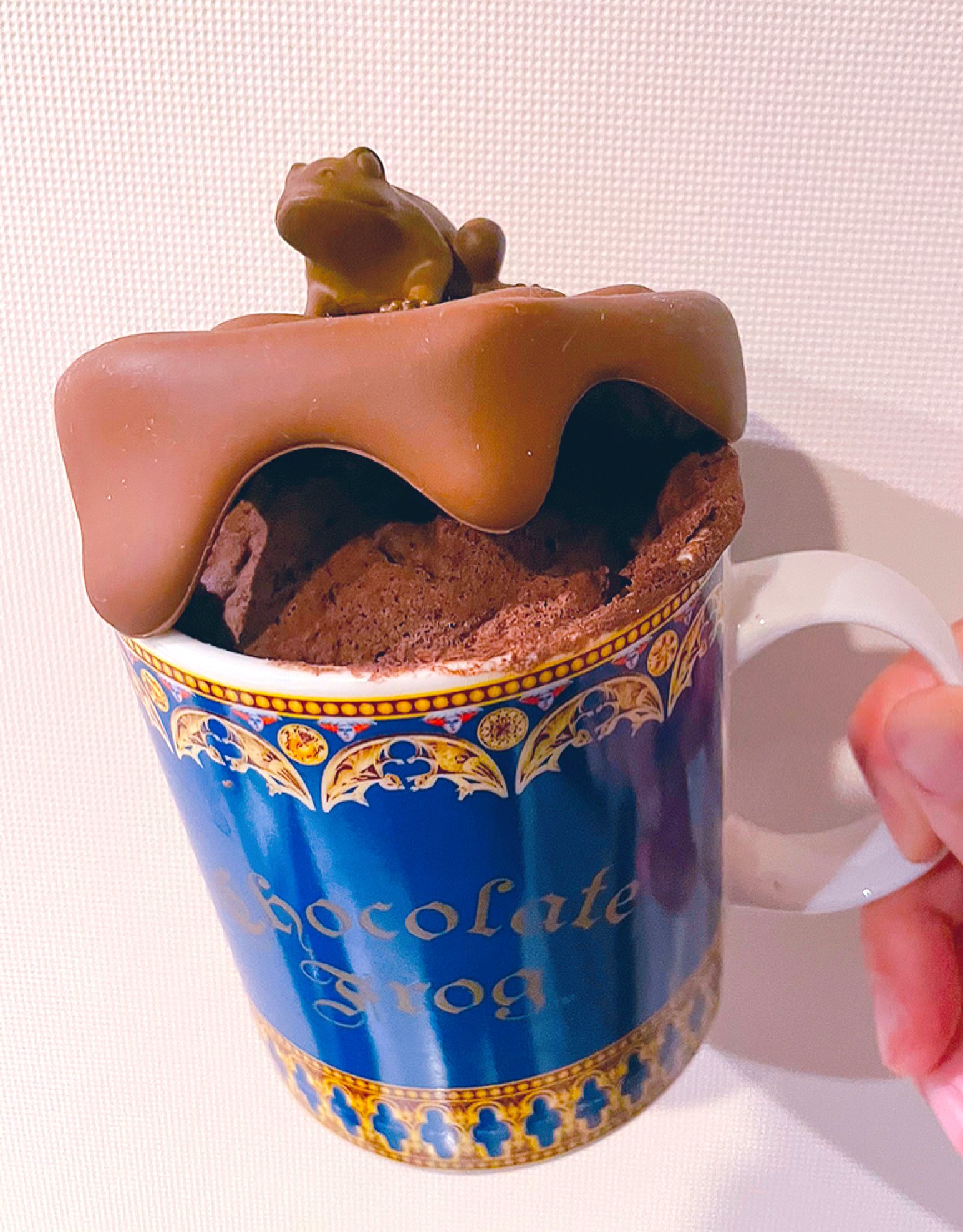 Cummy Hoghog165 アリスちゃんからいただいた蛙チョコ可愛い上に美味しかった ありがとう マグカップケーキも美味しそう Twitter