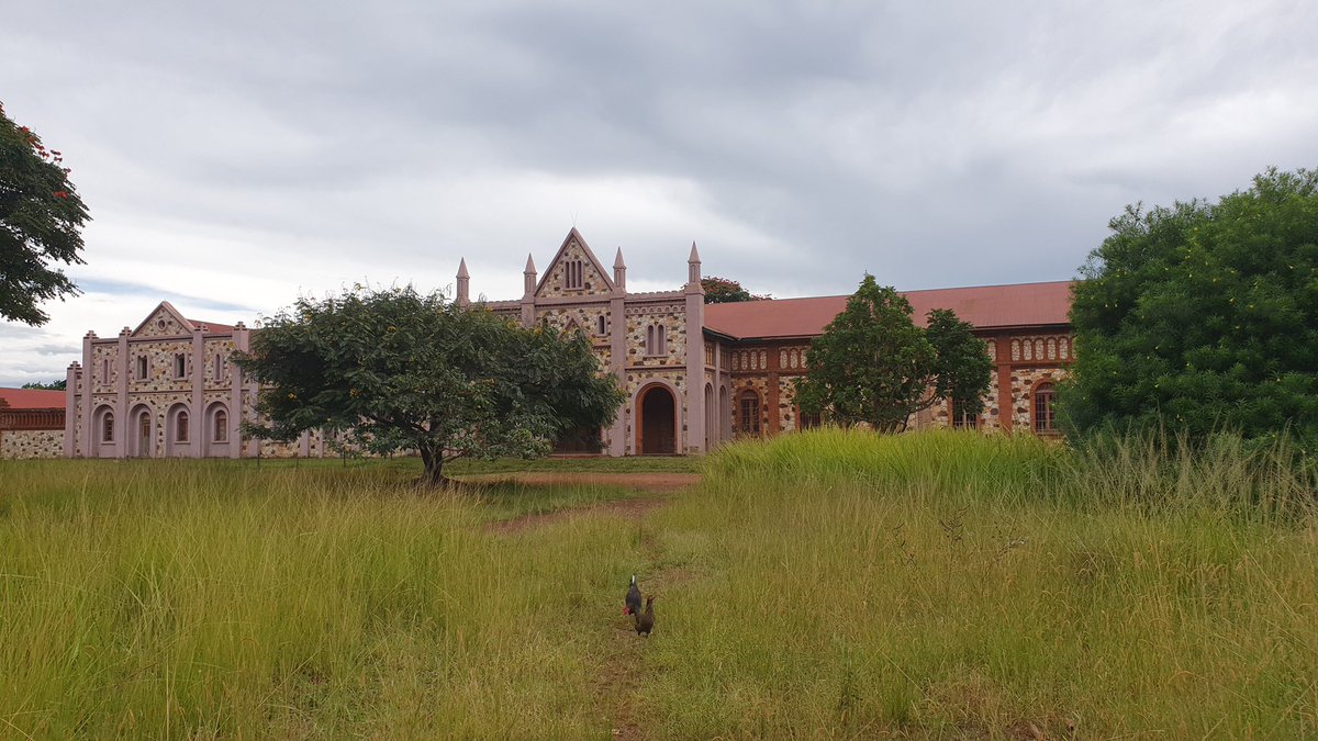 🏰🇨🇩#RDC, On se croirait en Ecosse ou encore au pays de Galles. Voici l'athénée de 📍#Moba, dans la province du 📌#Tanganyika.
Imaginez la beauté si sa pelouse était tondue. ⛳
📸 <a href="/lattin_de/">Adrien de Lattin</a>