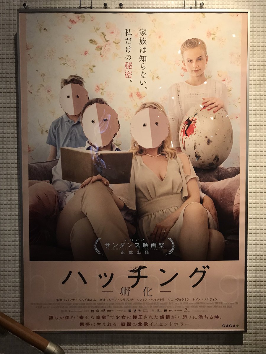 観るっピ 