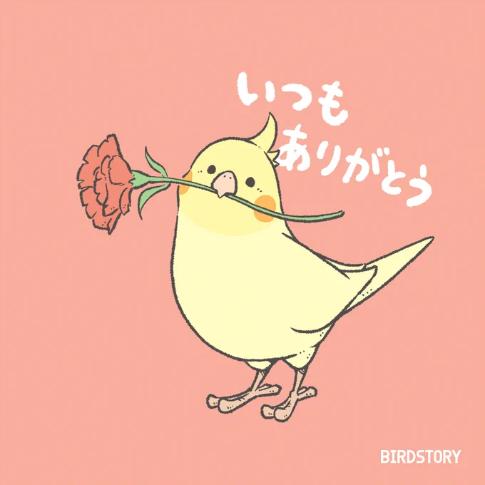 ギフトサービスの gifteeさんのギフトカードを、新たにデザインさせていただきました🐣
母の日をテーマにしたお花とオカメインコさんのイラストになっています🎁
詳しくはホームページから✅
https://t.co/gVWVTbopjS 

#BIRDSTORY #giftee #母の日 
