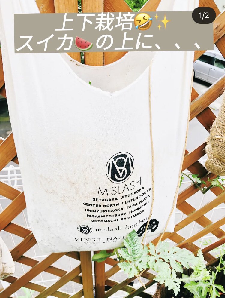 mslash_official's tweet photo. 【袋栽培】
【逆さ栽培】
【上下栽培】
【コンパニオンプランツ】
出来ることは何でもやってをるのが
エムスラッシュ流です✨
どうなることやら、楽しみ✨
#エムスラッシュ
#家庭菜園
#袋栽培
#逆さ栽培
#コンパニオンプランツ
#上下栽培
#LSCB https://t.co/gA8fDPWSdX