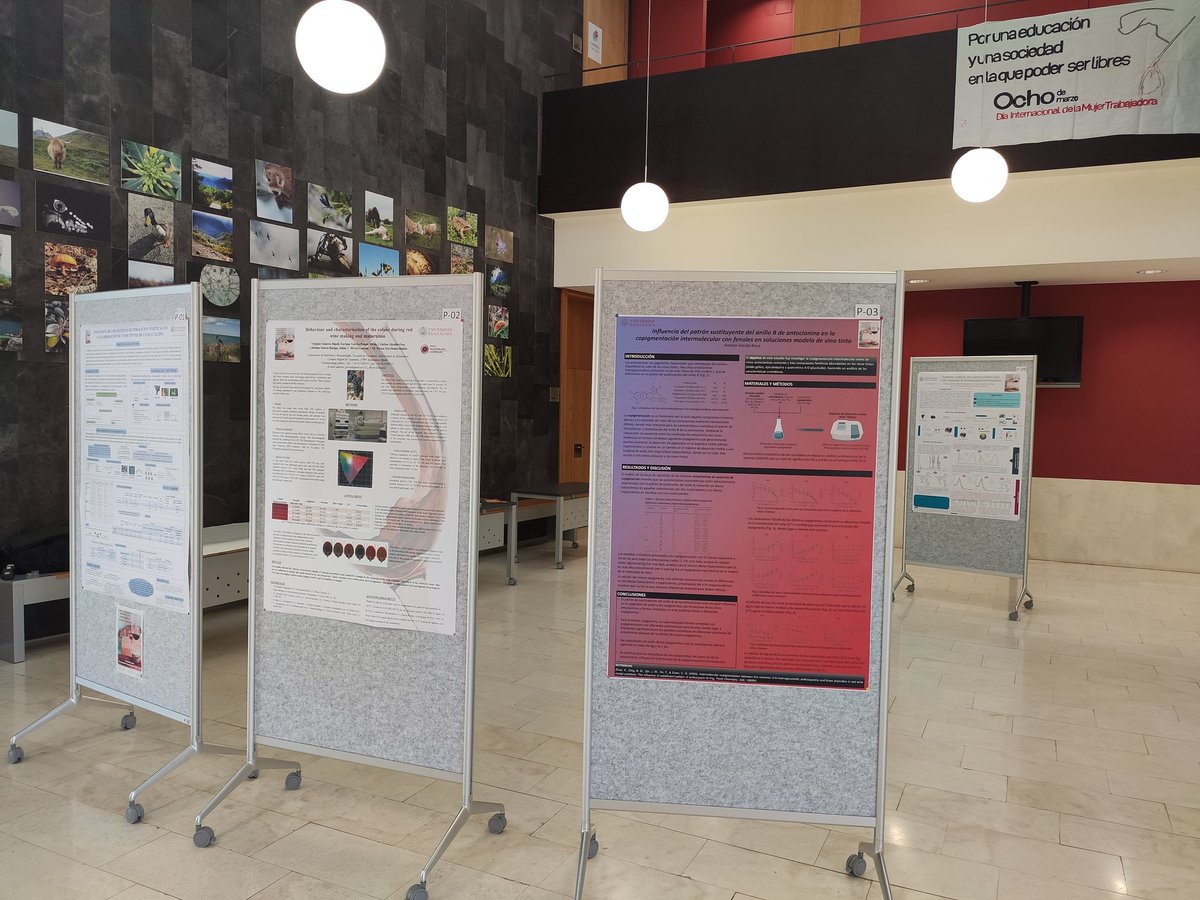 master_enologia's tweet photo. Ya están inauguradas las I Jornadas sobre Propiedades organolépticas de los vinos, dónde están expuestos, en el Edificio Dioscorides de la Facultad de @BiologiaUsal, los pósters que han elaborado nuestros alumnos en base a artículos ya publicados #Master #enologia #Ciencia https://t.co/xePqWTaQv7