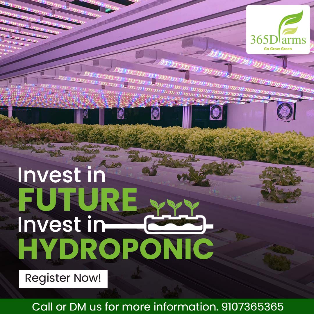 365Dfarms's tweet photo. “The India "Hydroponics Market" is expected to grow at a CAGR of 13.53% during the forecasting period (2021-2028).” 
The growth of #Hydroponics #farming in #India is inevitable. Join our training program and become an Hydroponic expert. Register here - https://t.co/vMmCk7N22r https://t.co/BpDkNYYx45