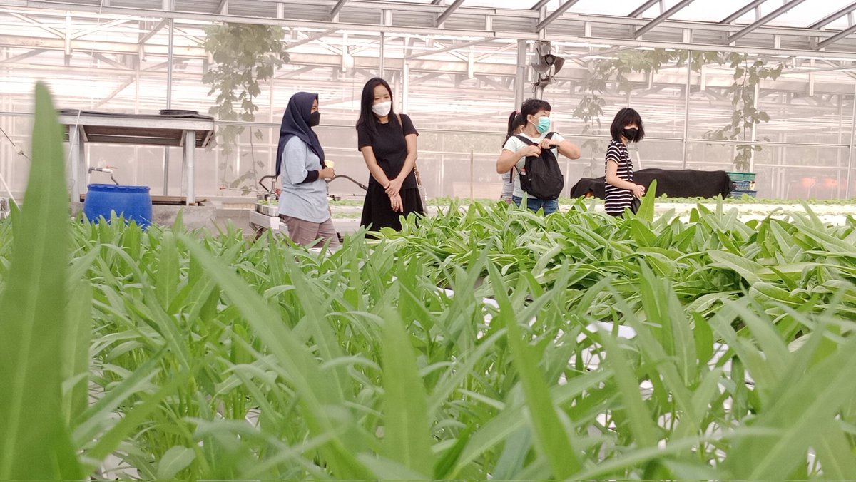 Teratai_Hydro's tweet photo. @FiersaBesari Buat beli sayur di kebun kita bisa langganan sampe tujuh turunan ituuu 😭 https://t.co/WS46fyYn2w