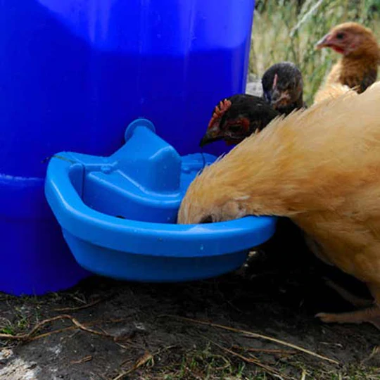 GamekeepLTD's tweet photo. Maxi Cup Drinker.
The MaxiCup Drinker is a semi-automatic drinker designed to use old water tanks, buckets, feed and any other type of container turning them into reservoirs for your birds drinking water.
#MakingUseOfWhatYouHave #Gamekeep https://t.co/rXGeU43X5j