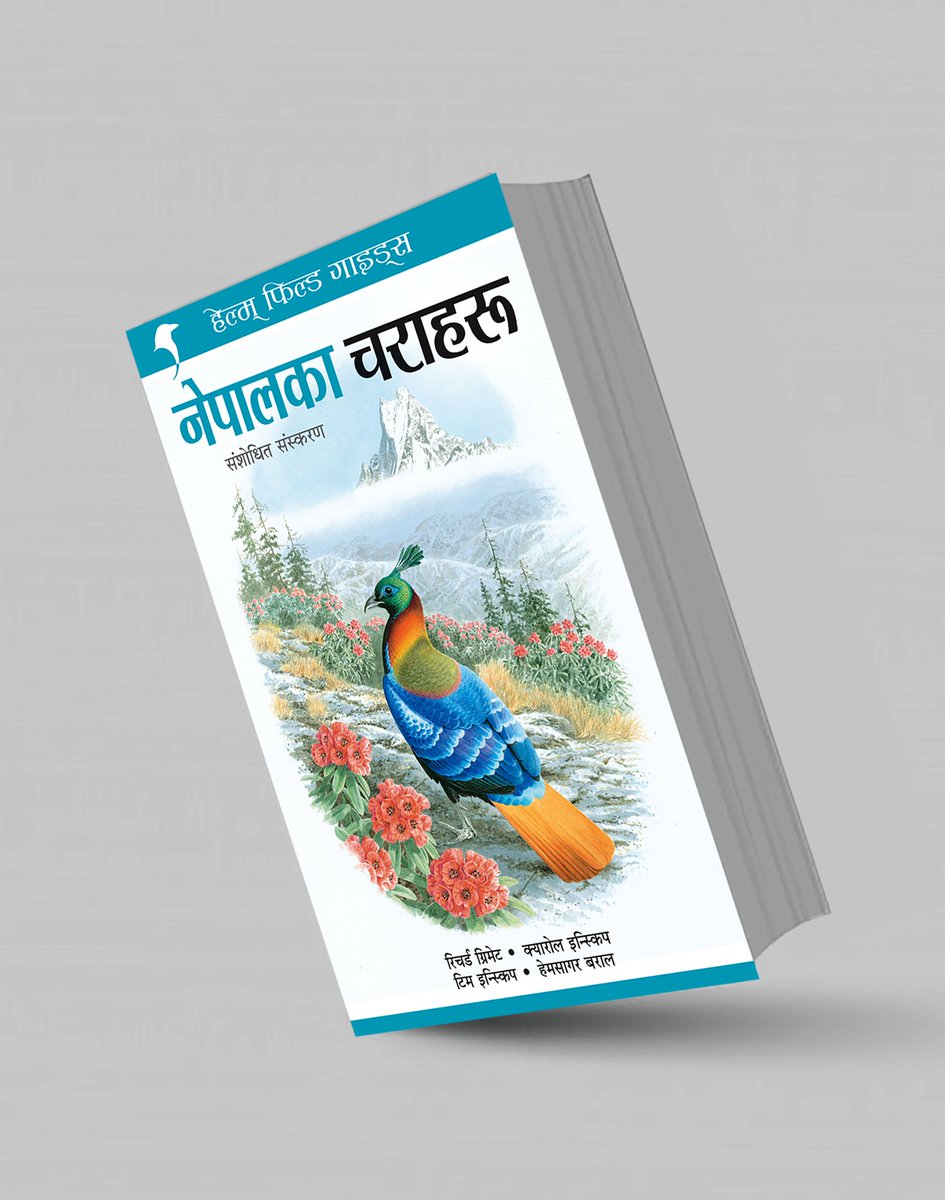 Hem Sagar Baral tweet media