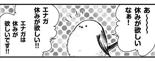 【隔週 月～金/新作配信開始✨】
あざといシマエナガと賢いカラスseason2

次回の配信は5月9日(月)～13日(金)❣
GW明けの憂鬱な気分をシマエナガが癒します✨

ではみなさん、よいGWを!!

#永久機関シマエナガ
#シマエナガとカラスさん 