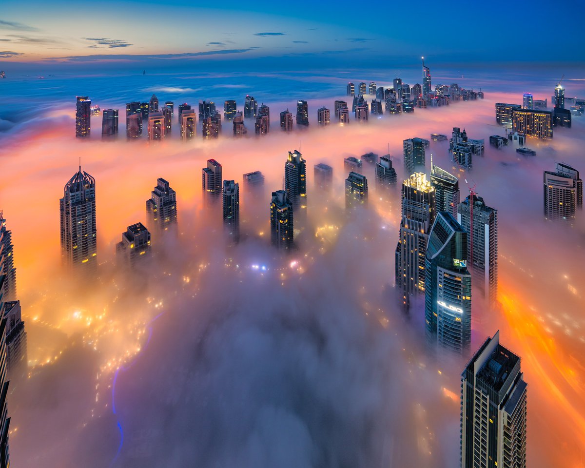 Rami Dibo tweet media