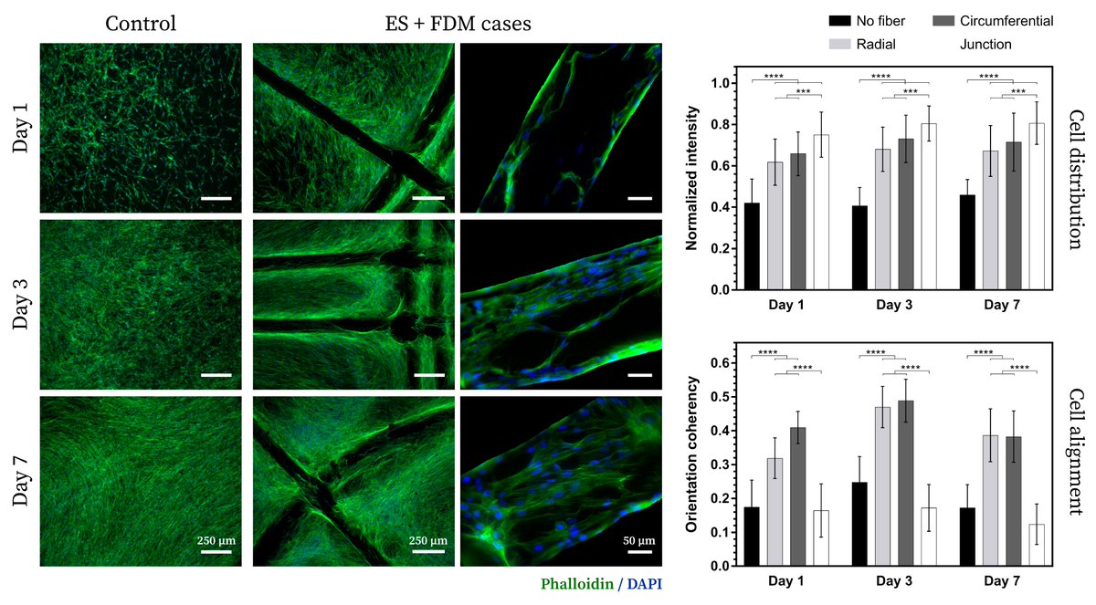 Shivesh Anand tweet media