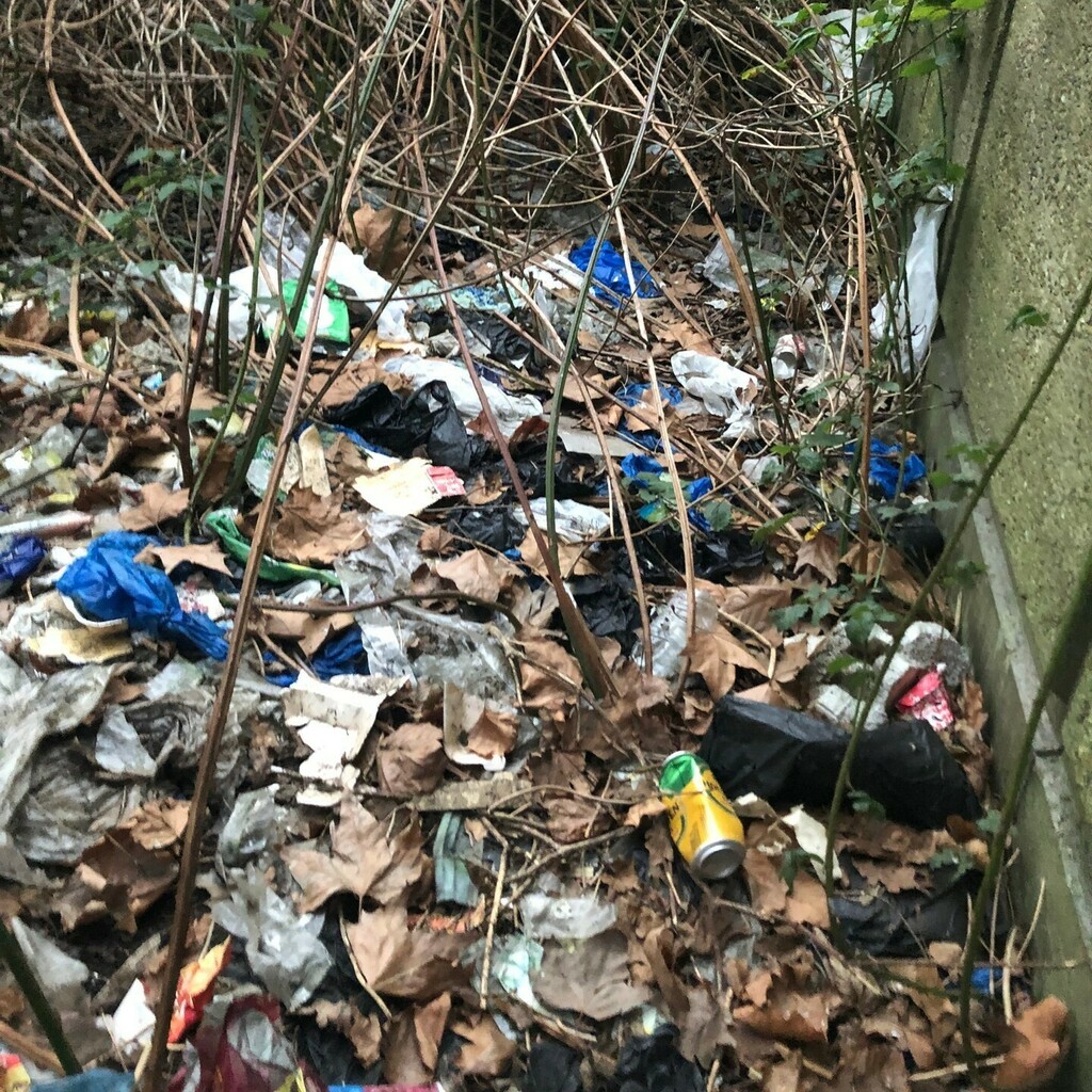 This was a morning challenge we were not too excited about!⁠
⁠
⁠
#MillionMileClean #SurfersAgainstSewage #BeachClean #RiverClean #MountainClean #StreetClean #OceanOptimism #PlasticPollution #MarineConservation #SaveOurSeas #PlasticFree #ZeroWaste #Mi… instagr.am/p/CczhsHvtjg0/