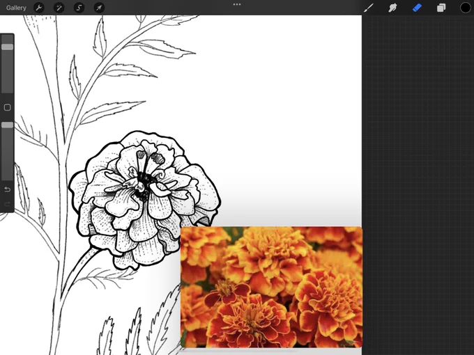 my thumb is asleep so i think I should sleep goodnight 