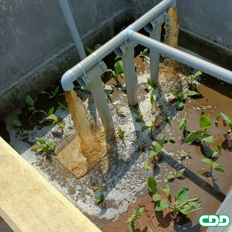 CDDIndia's tweet photo. The first of 16 #FaecalSludgeTreatmentPlants (#FSTPs) pilots for rural Karnataka - at Taj Sultanpur - was inaugurated last week. 

We are proud to be associated in these efforts as #TechnicalPartner to the Rural Drinking Water &amp; Sanitation Department (Government of Karnataka). https://t.co/iP6ff4U6zG
