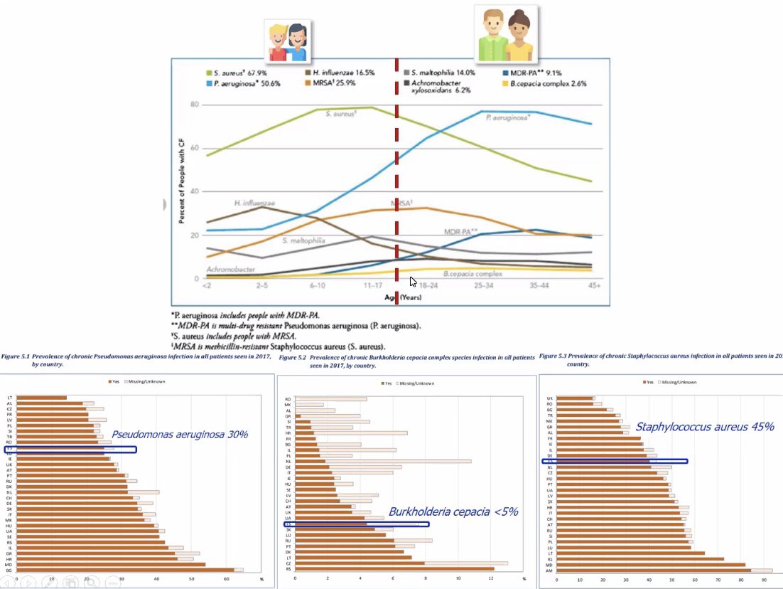 Alba Pau tweet media