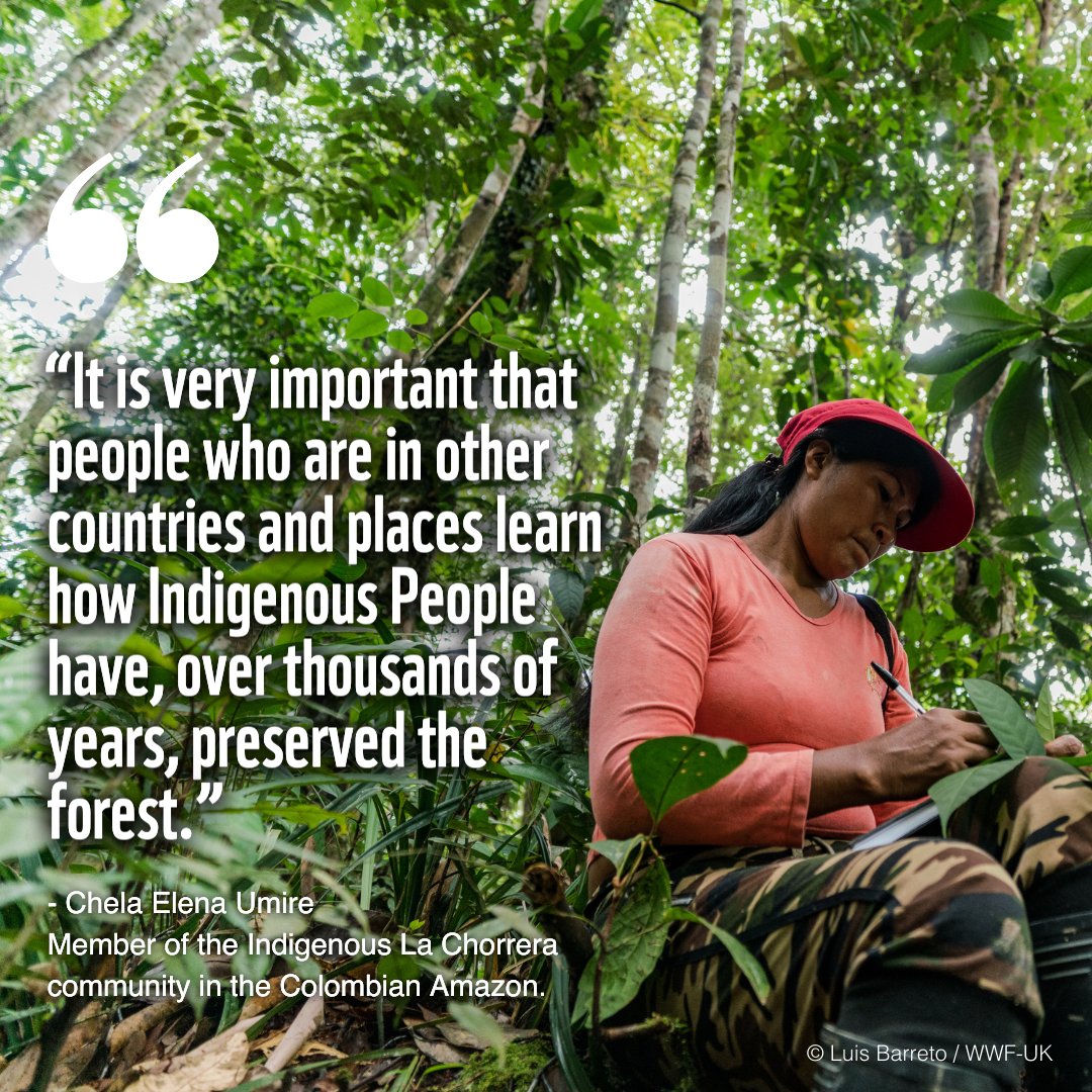 WWF's tweet image. RT to show your support for the protectors of our shared home! 💚
 
#IndigenousPeoples face and respond to many threats to their lands — making them exemplary role models in how we can all mend our broken relationship with #nature 🩹🌍

explore.panda.org/the-people-clo…