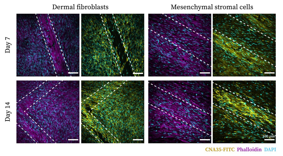 Shivesh Anand tweet media