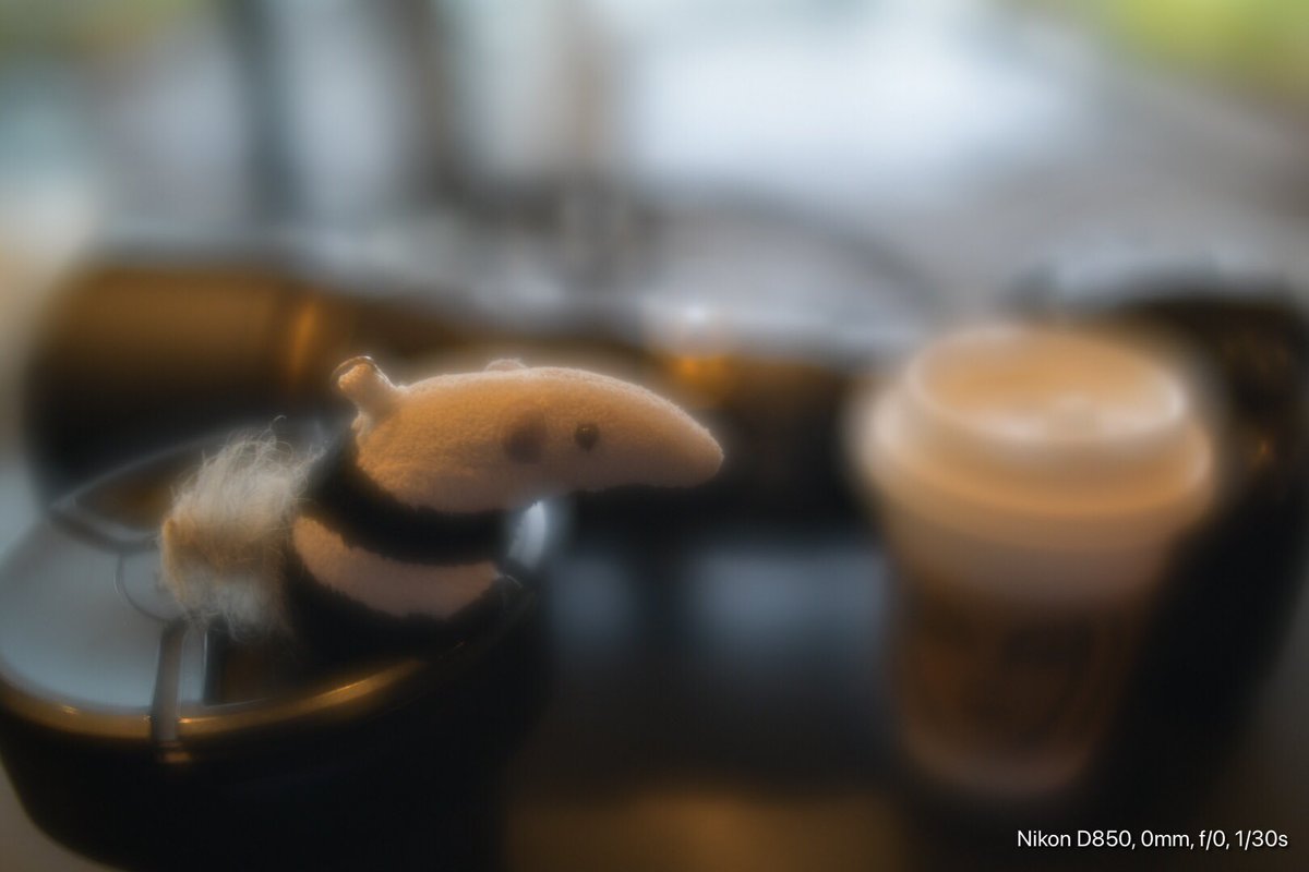 dddo2it's tweet photo. #アリクイ と #スタバ テラス席にて休憩ちう^^
(通院のあと…
(雨…
#D850
#lensbaby #velvet28 (F=+)
#AFS8_15mmFisheye
#anteater #circularFisheyePhoto #円周魚眼写真 https://t.co/z1TqZQqSU4