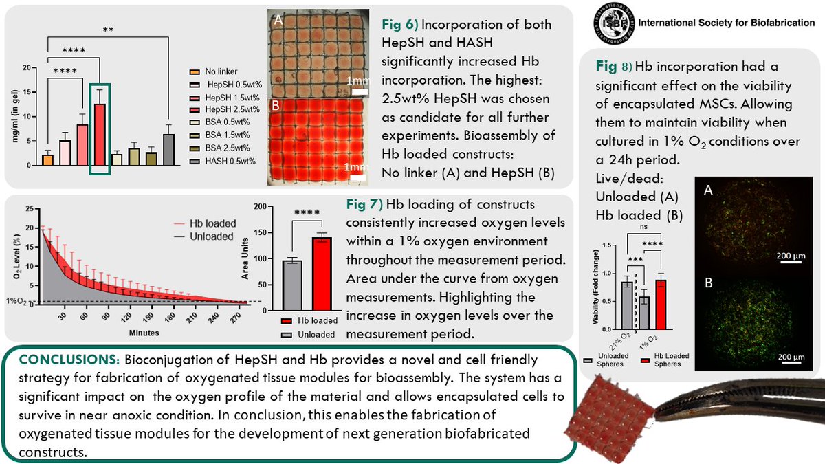 Axel Norberg (@axenorb) on Twitter photo Excited to share some work: oxygen carrying hydrogel microspheres which utilizing the interaction between Heparin and Hemoglobin to support encapsulated cells at hypoxic conditions.
<a href="/ISBioFab/">Intl Soc Biofab</a> #biofab2022 Excited to share some work: oxygen carrying hydrogel microspheres which utilizing the interaction between Heparin and Hemoglobin to support encapsulated cells at hypoxic conditions.
<a href="/ISBioFab/">Intl Soc Biofab</a> #biofab2022