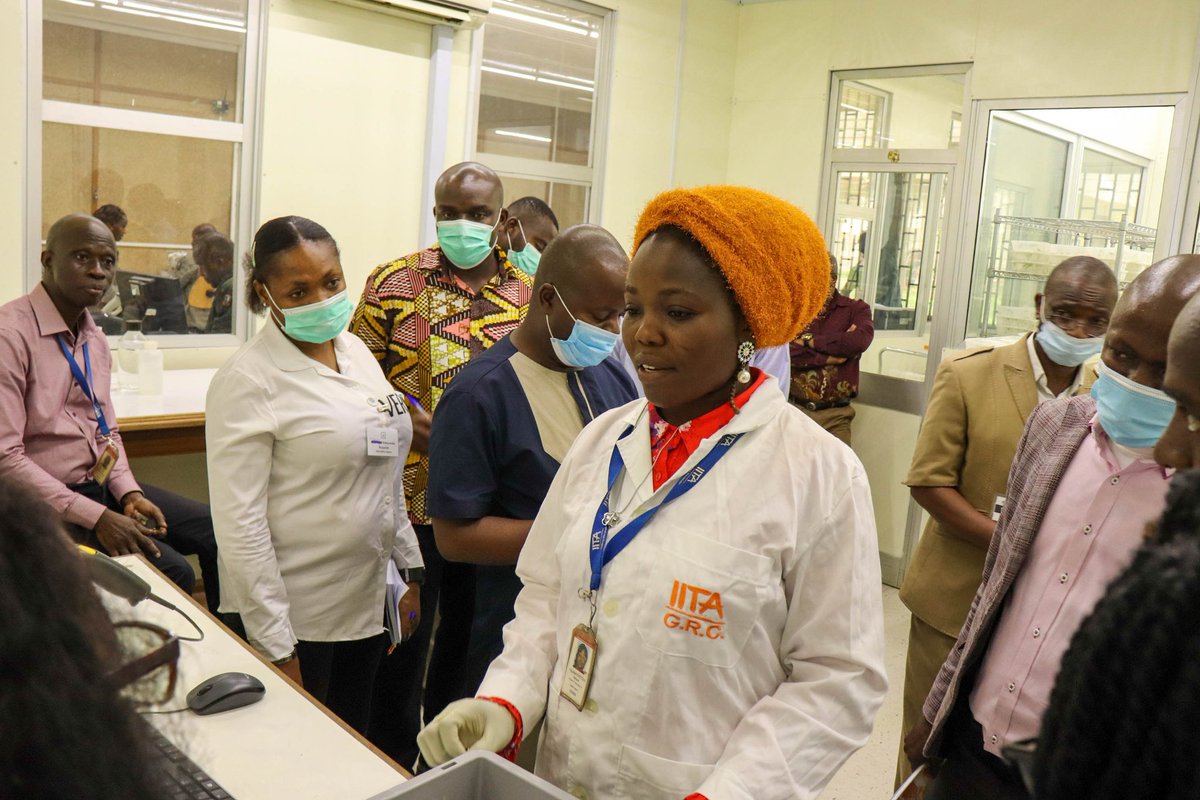 The Crop Trust (@croptrust) on Twitter photo Among the goals of the Seeds for Resilience project is to foster knowledge exchange among #genebanks.
This week <a href="/iitagenebank/">IITA Genetic Resources Center</a> hosts staff from Ethiopia, Ghana, Kenya, Nigeria & Zambia national genebanks for a training workshop.
More about the project👉bit.ly/3rPPpeE Among the goals of the Seeds for Resilience project is to foster knowledge exchange among #genebanks.
This week <a href="/iitagenebank/">IITA Genetic Resources Center</a> hosts staff from Ethiopia, Ghana, Kenya, Nigeria & Zambia national genebanks for a training workshop.
More about the project👉bit.ly/3rPPpeE