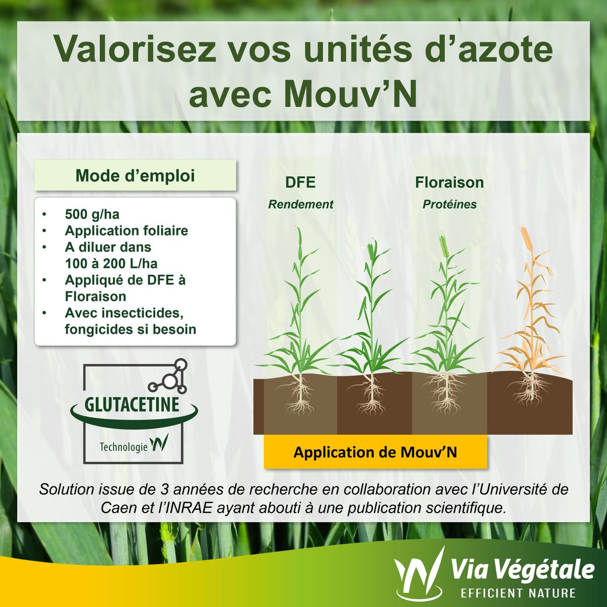 Via Vegetale tweet media