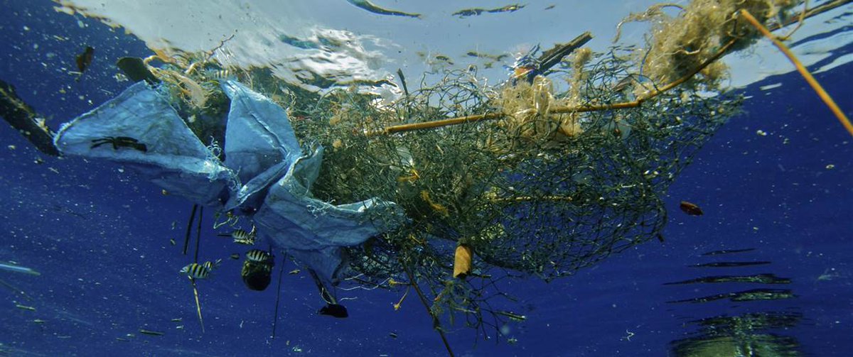 Please pick up the trash and throw it in garbage can
Give a Hand! For a Better World!
#nature #trash #garbage #ocean #animals #beach #plogging #plogolution