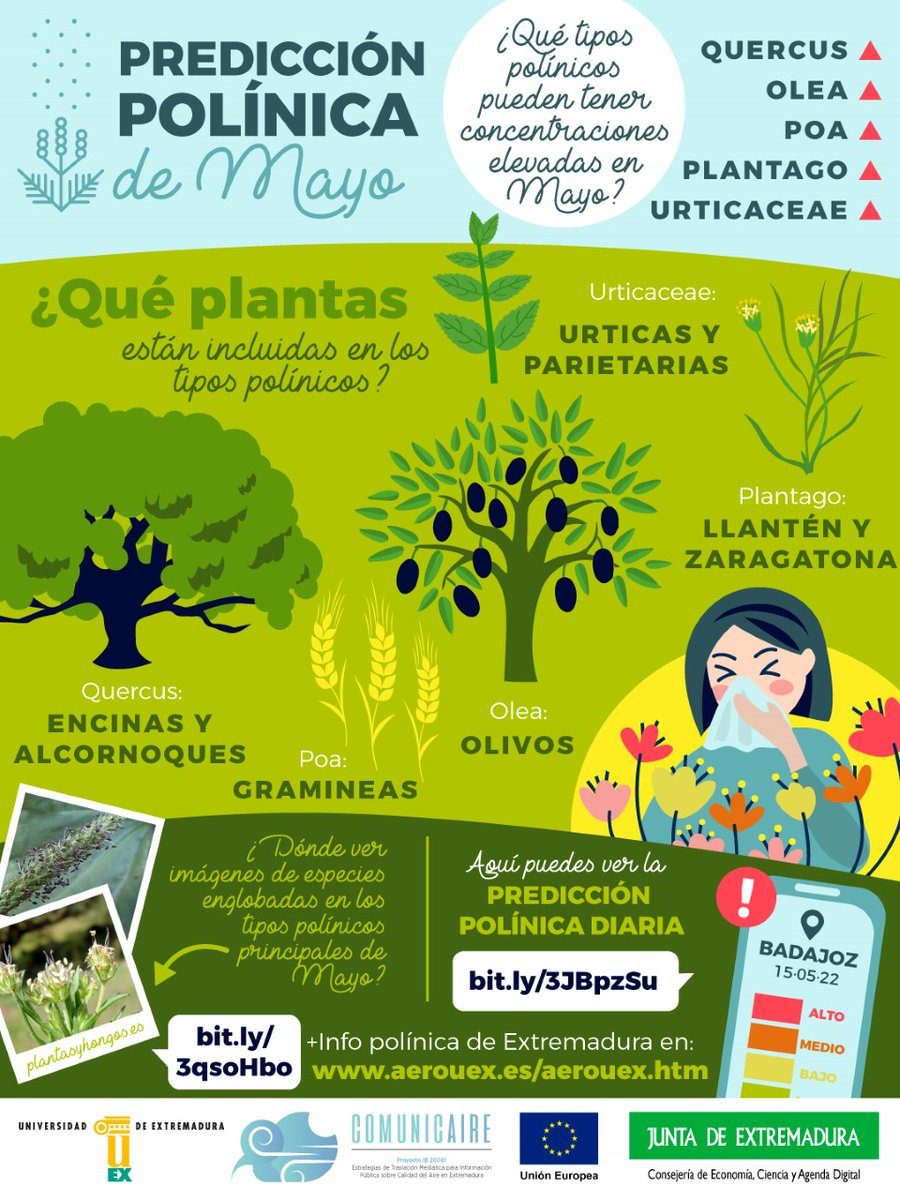 #Comunicaire #PredicciónPolínica #UEX Universidad de Extremadura (UEx)  @UexDivulga <a href="/infouex/">UEx</a>