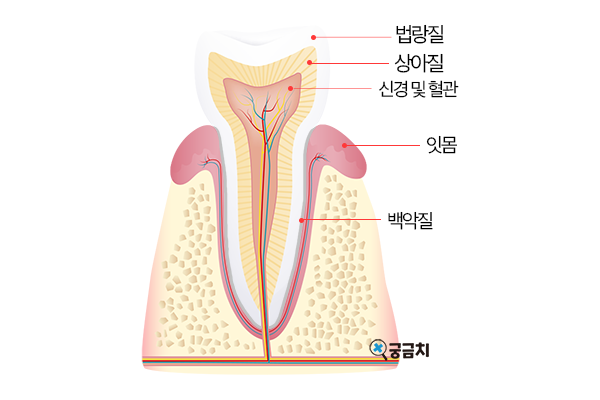 ggchi_info's tweet photo. 궁금치의 칼럼, "치아가 시린 원인, 치료, 예방 방법"이 올라왔습니다!🦷✨

https://t.co/Xcek5DaHRg https://t.co/6P8BA1S0DC