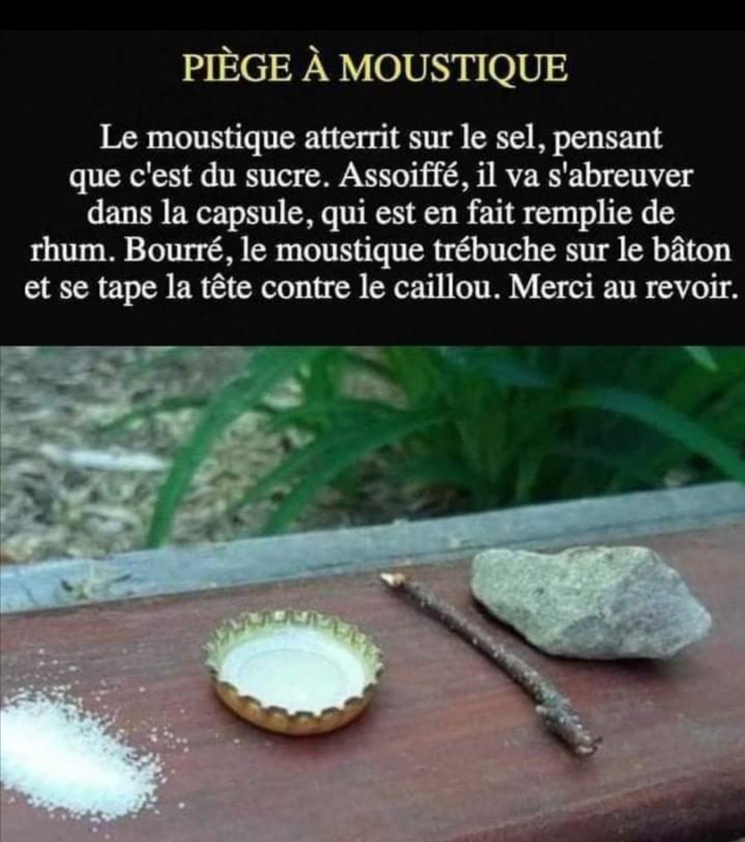 PChevrin's tweet photo. On continue à sourire ? https://t.co/OmE9U3q38u