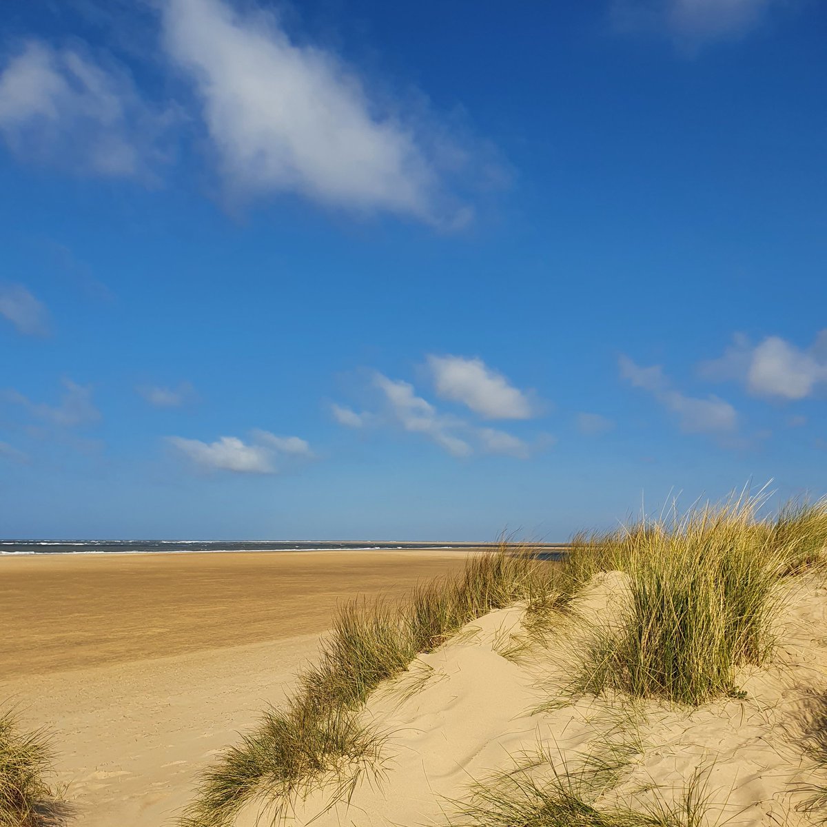 ControlTowerNC's tweet photo. Wonderful Wells-next-the-Sea...
A walk on the beach and back through the pine woods โกโกโก
#wellsnextthesea #walk #favouritewalk #coastalbeauty #jusdowntheroad #NorthNorfolk https://t.co/2rA3yEZm46