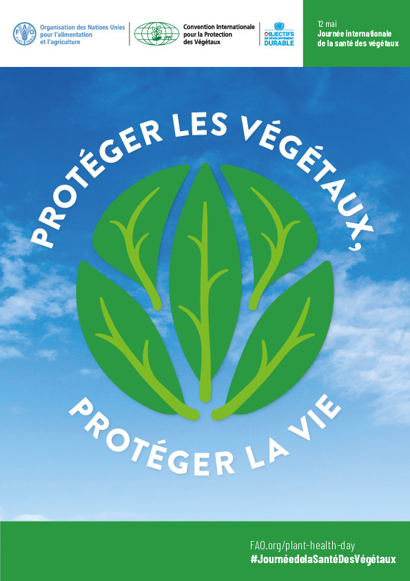ipbesfr's tweet photo. Les plantes constituent 80% de la nourriture que nous mangeons🌿🍎🌽🍓🍌
Le 12 mai, @FAOenFrancais célébrera pour la 1ère fois la Journée internationale de la santé des végétaux en tant que journée commémorative officielle de l'@ONU_fr.
En savoir plus: https://t.co/jYYSR35yVq https://t.co/VnWCRLhsV5