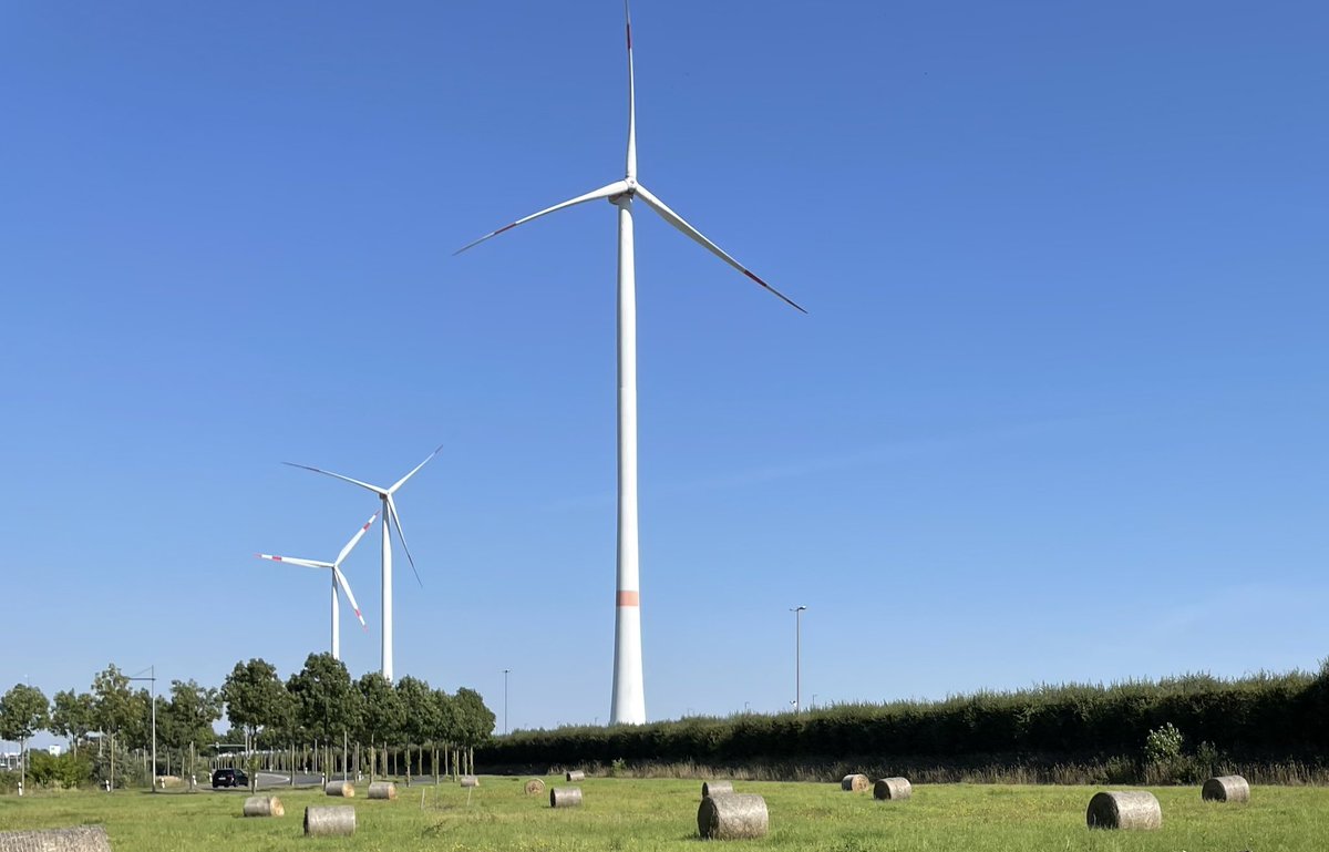 Gruen_WGuenther's tweet image. Heute ist #TagderErneuerbaren

#Sachsen seit 2019 (Auswahl)
👉Energie- &amp;amp; Klimaprogramm
👉mehr Freiheiten für Kommunen
👉3-Punkte-Beschleunigungsprogramm
👉Info- &amp;amp; Akzeptanzkampagne
👉Leitfaden Artenschutz
👉Wasserstoffstrategie
👉2/3 der Bürger*innen für Erneuerbare
#Servicetweet