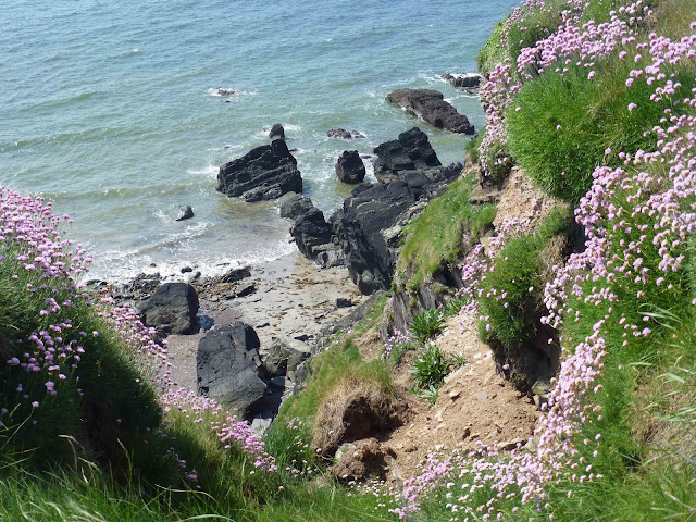 TableBTsCork's tweet photo. 'In Praise of East Cork. Food. People. Place. Worth a Visit!'
Love this from @CorkBilly: https://t.co/7kDRd02lP8 https://t.co/5S3DzLtYRF