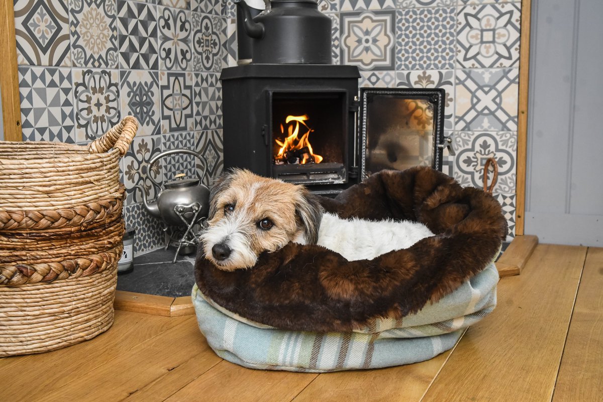 GREAT NEWS: Our upgraded mini wolf dens are back online for small dogs up to 5Kgs. 
See more here : tuffies.co.uk/item/25/Mini-W…
#tuffies #tuffiesdogbeds #bestdogbeds #madeinscotland