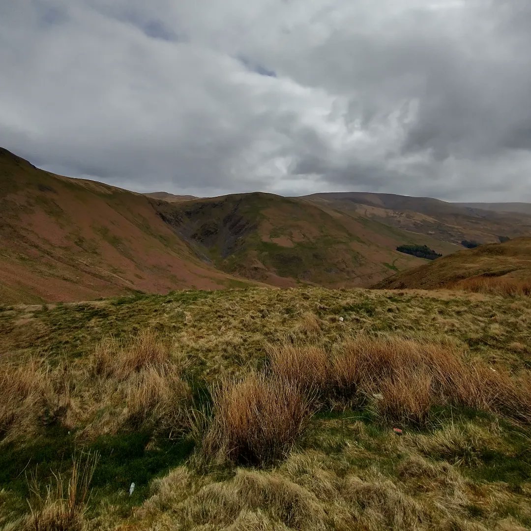 philipianhall's tweet photo. Minor Roads Up To Moffat Then The Devil's Beef Tub Climb - Six Miles Of Ascending But Nothing Steep And All Pretty Straightforward - Famous Last Words (Back There Tomoz - All Hail The Tub!)
#scotland #cycling
#dumfriesandgalloway
#moffat #devilsbeeftub
#48miles #77km
#tuesday https://t.co/yGCHJJPKNI