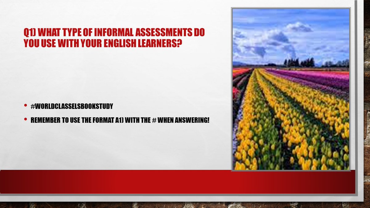CaseyWard2709's tweet photo. Let's get started on Question 1. Remember to use the A1) format when answering. #WorldClassELsBookstudy @ELOfficePWCS @PKobrynELSpec @CaseyWard2709 https://t.co/g5MOU7VBjm