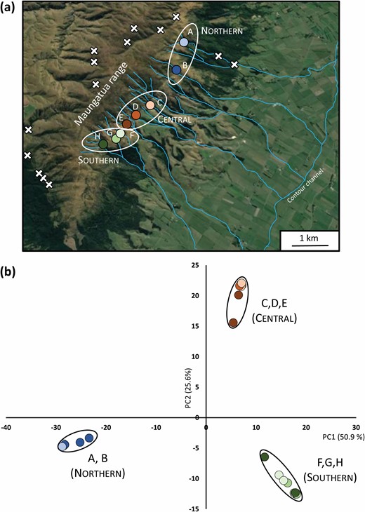 Graham McCulloch (@grahammcc_nz) on Twitter photo Flight loss can drive insect diversification across very small spatial scales! Our new research on the recently discovered flightless Maungatua stonefly, published open access at Insect Systematics and Diversity: doi.org/10.1093/isd/ix…
<a href="/jon_waters_nz/">Jon Waters</a> <a href="/GracieKroos/">Gracie Kroos</a> <a href="/MarsdenFund/">Marsden Fund</a> Flight loss can drive insect diversification across very small spatial scales! Our new research on the recently discovered flightless Maungatua stonefly, published open access at Insect Systematics and Diversity: doi.org/10.1093/isd/ix…
<a href="/jon_waters_nz/">Jon Waters</a> <a href="/GracieKroos/">Gracie Kroos</a> <a href="/MarsdenFund/">Marsden Fund</a>