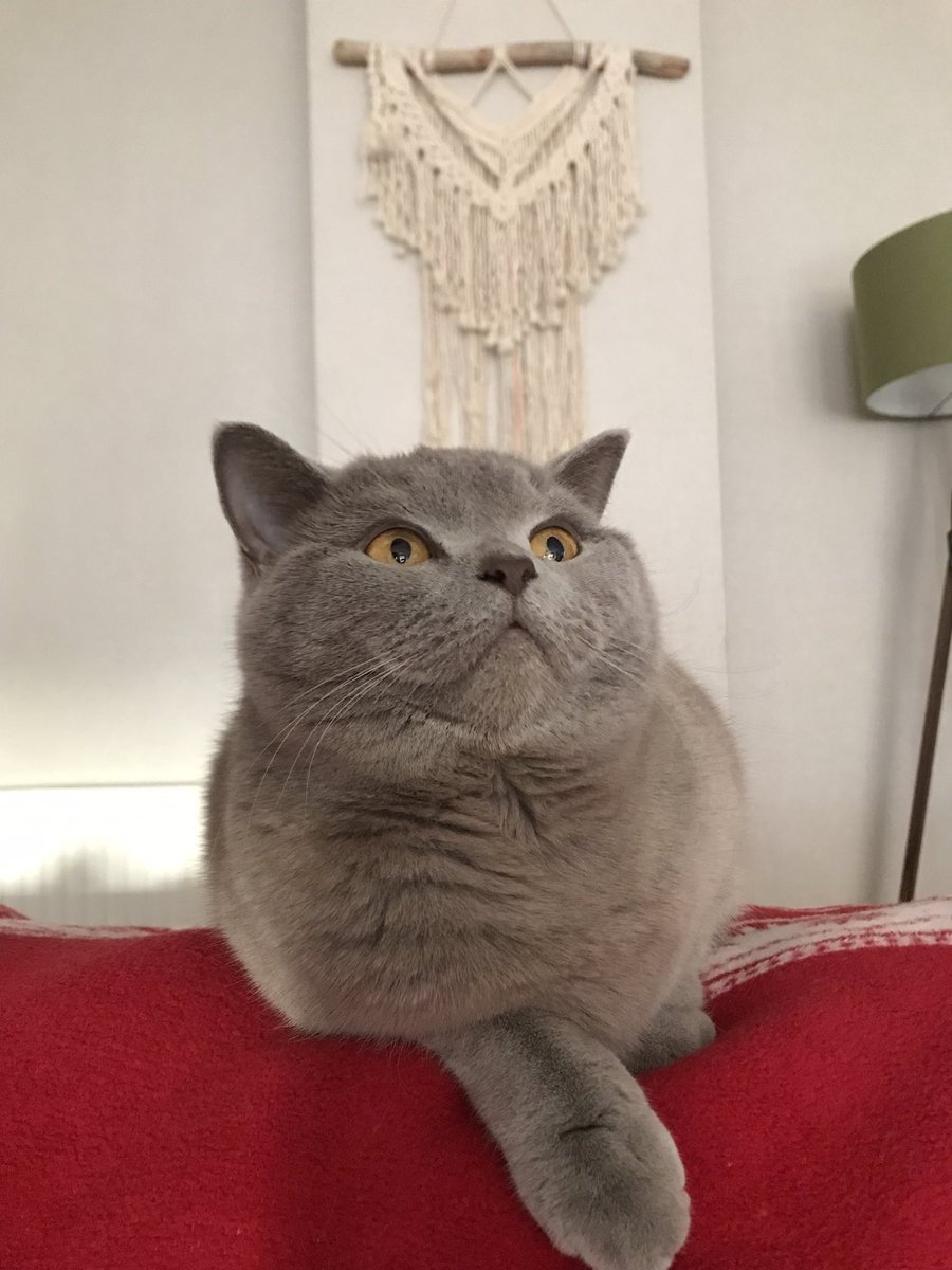 bna kınmısı çog yagıçıyooo