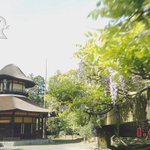 伊賀上野ケーブルテレビのツイート画像