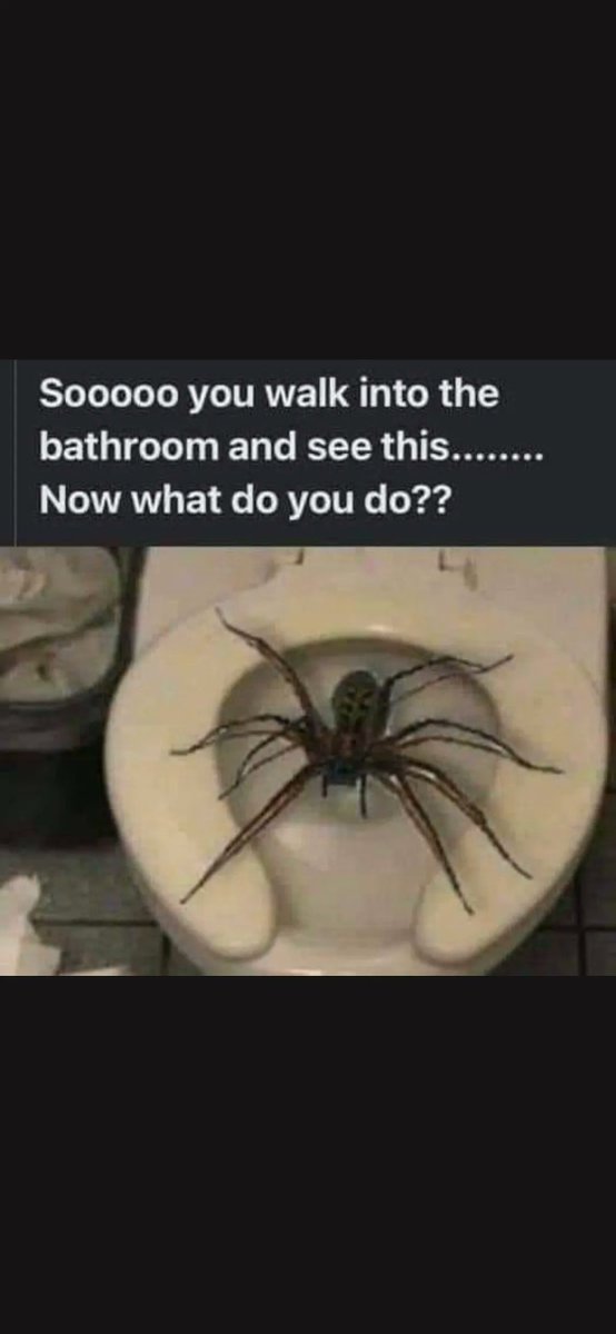 🧐

#Funnymeme #Meme #SexMeme #onlyfans #Follow #sexy #Social #Admireme #Frisk #Fancentro #hot #sexymeme