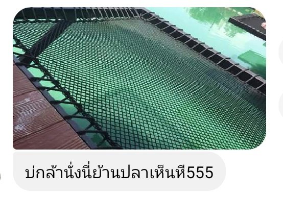 Ice_X03's tweet photo. ประจาน https://t.co/BGOA3JA10B