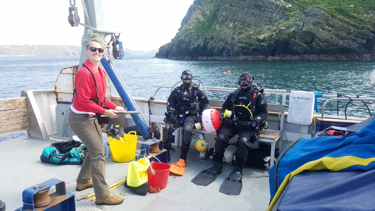 Cat Wilding tweet media