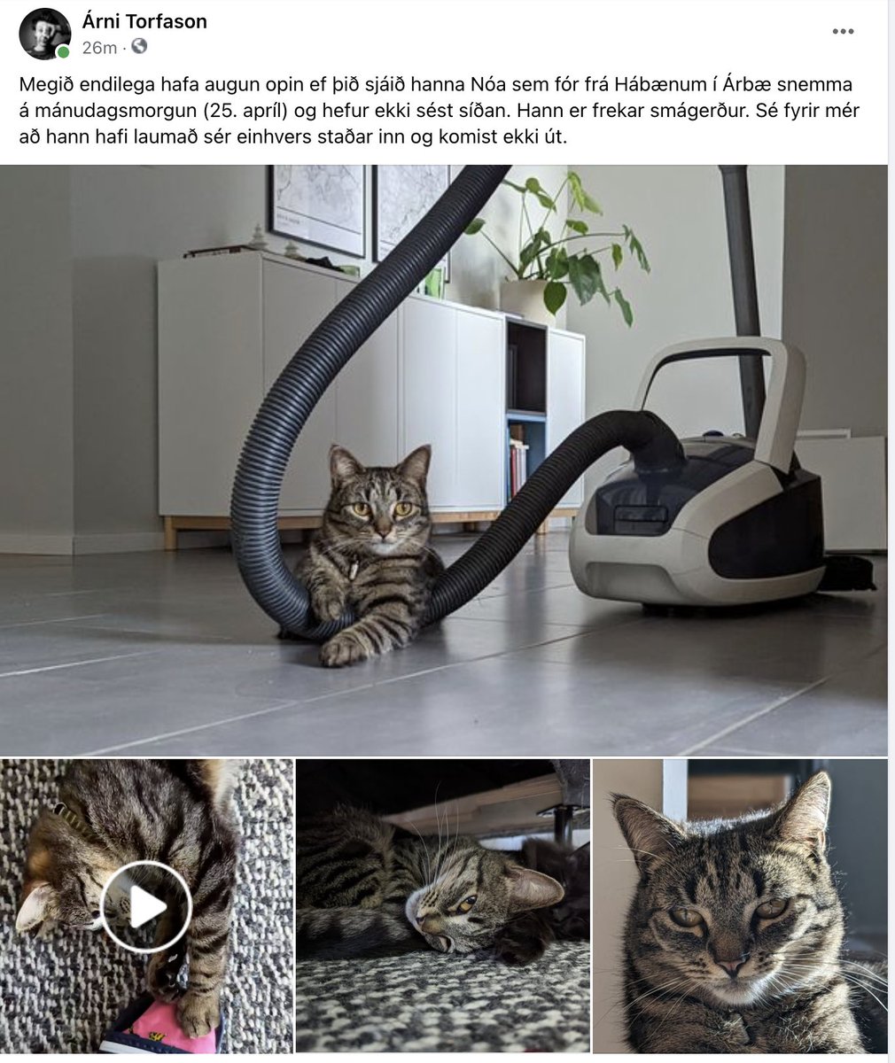 Árni Torfason (@arnitorfa) on Twitter photo 