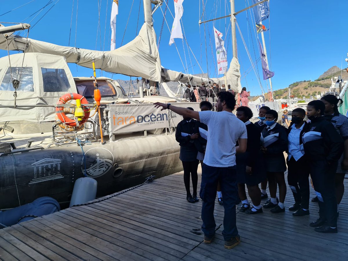 FrenchEmbassyZA's tweet photo. Cape Town students visited the Tara schooner today to learn more about microbiomes and climate actions. 🎓 🌍
@Saeonews 
@WCEDnews 
#FondationTaraOcéan #ExplorerEtPartager  #aefeinfo #frenchschool https://t.co/ZCU8eZlqTq