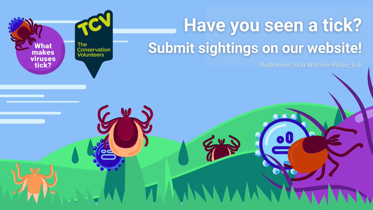 Have you seen a tick? 🕷️ We are delighted to announce that alongside our brilliant partners at @TCVScotland, we have launched a handy website where you can record your tick sightings & bitings Head over to tcv.org.uk/scotland/what-… to find out more!