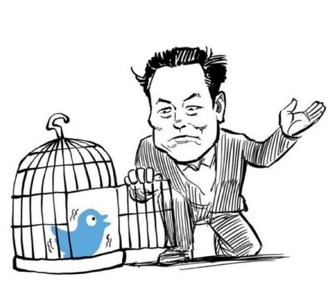 Blackyy tweet media