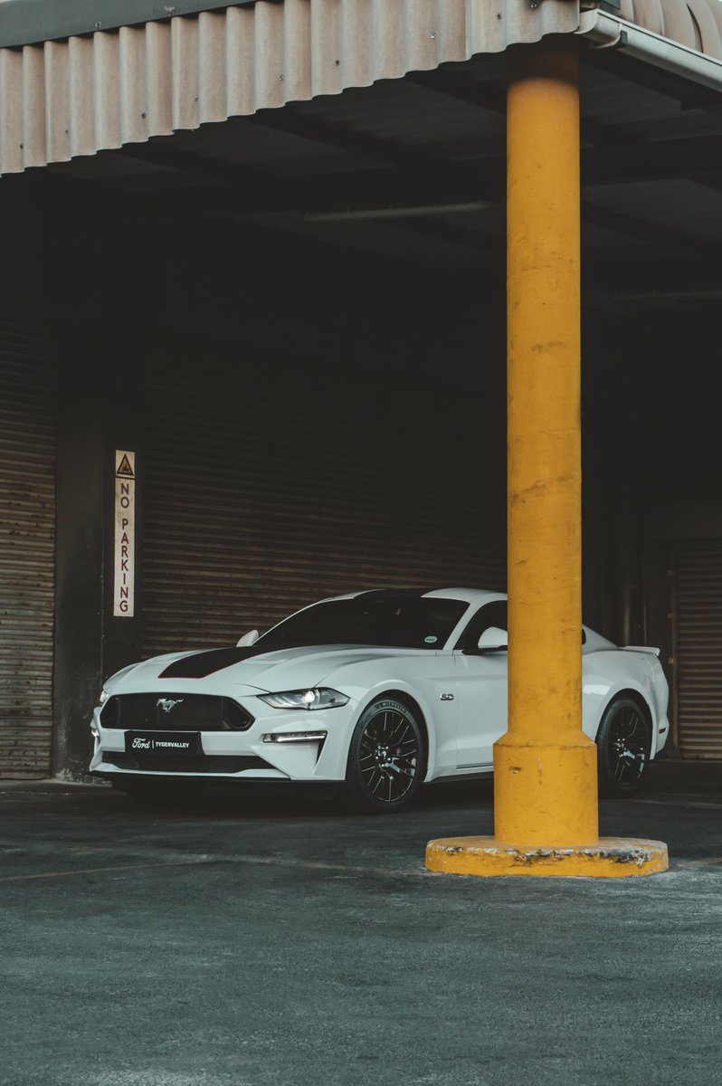 A thing of beauty…

#Mustang #FordMustang #MustangGT #CarPhotography