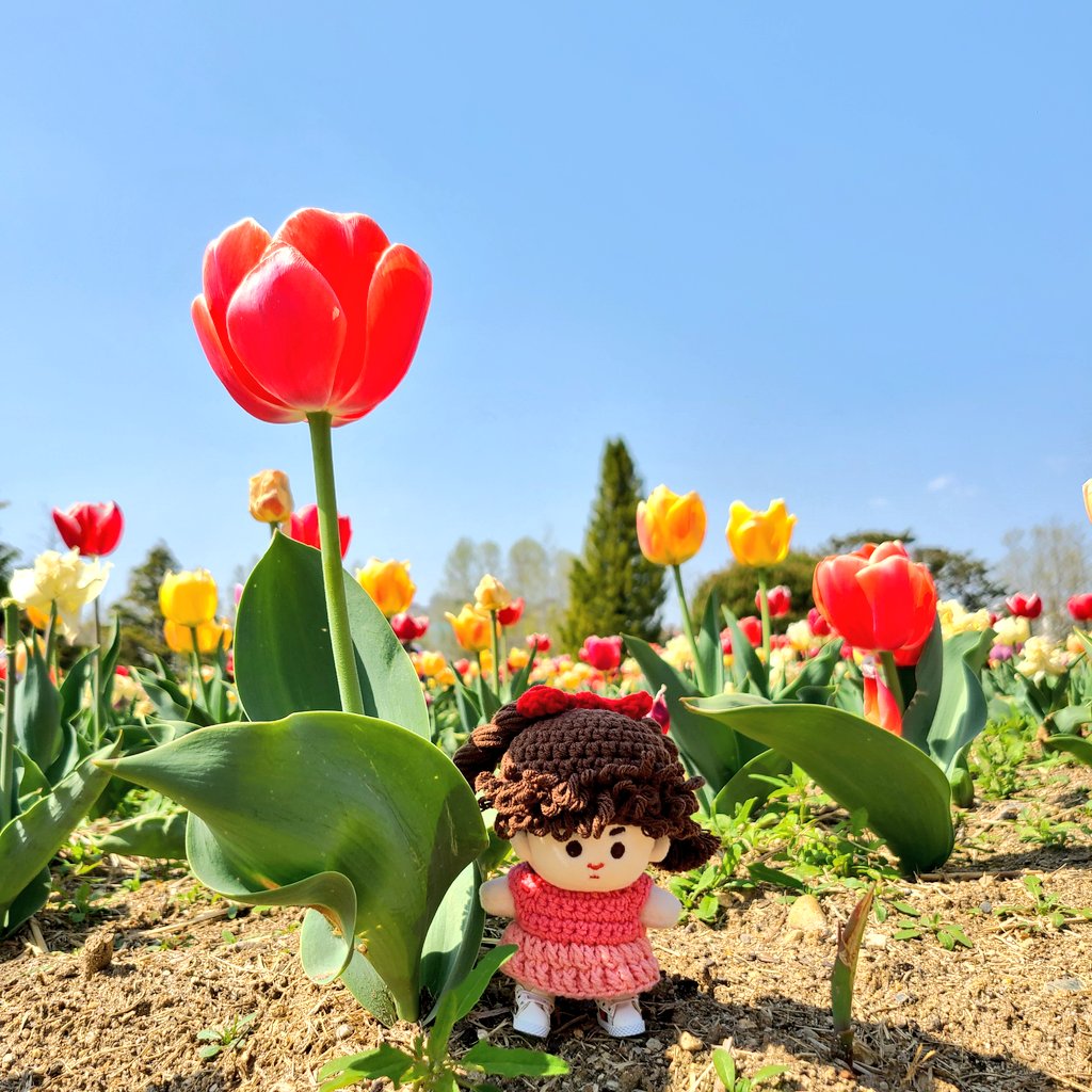 자기 얼굴만한 튤립 구경도
너무 즐거운 초코예용🌷